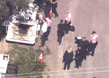 California tree trimmer dead after winding up in wood chipper – Law Officer