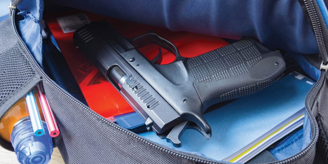 An affordable solution to active shooters in schools: SSOs