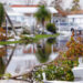 Former Chicago police officer rescues disabled mother from Hurricane Ian flooding