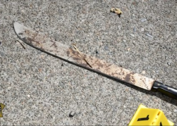 Video: Machete-wielding man fatally shot after advancing on deputy