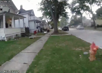 Michigan officer rescues choking baby