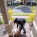 Porch pirates throw cow manure over couple’s front yard after being tricked with a box of dirty diapers