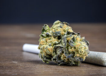 Maryland police host “pot party” to train officers’ field sobriety detection skills