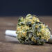 Maryland police host “pot party” to train officers’ field sobriety detection skills