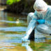 Impossible for Humans to Avoid “Forever Chemicals”￼