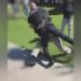 Florida high school student body slams police officer – Law Officer