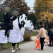 ghost horses