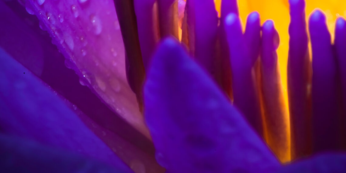 UK legislation update: Government supports various Private Members’ Bills; national minimum wage increase from April 2023