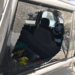 Caught in the Snare – Law Officer