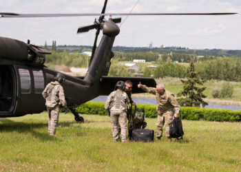 Happy Veterans' Day 2022!: Employment & Labor Insider