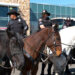 Albuquerque records 17th police shooting of the year, marking an all-time high