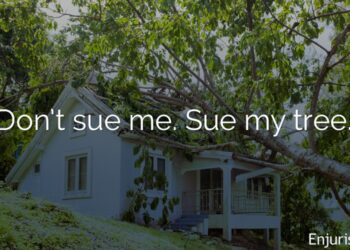My Tree Fell on my Neighbor's Property: Who Pays?