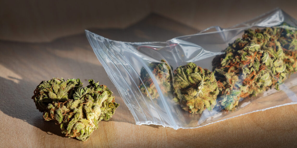 Georgia police catch suspects attempting to flush 40 pounds of marijuana down the toilet