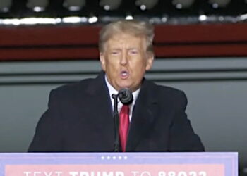 Warnings Issued After Trump Calls Pelosi an 'Animal' on Eve of Election