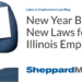 New Year Brings New Laws for Illinois Employers