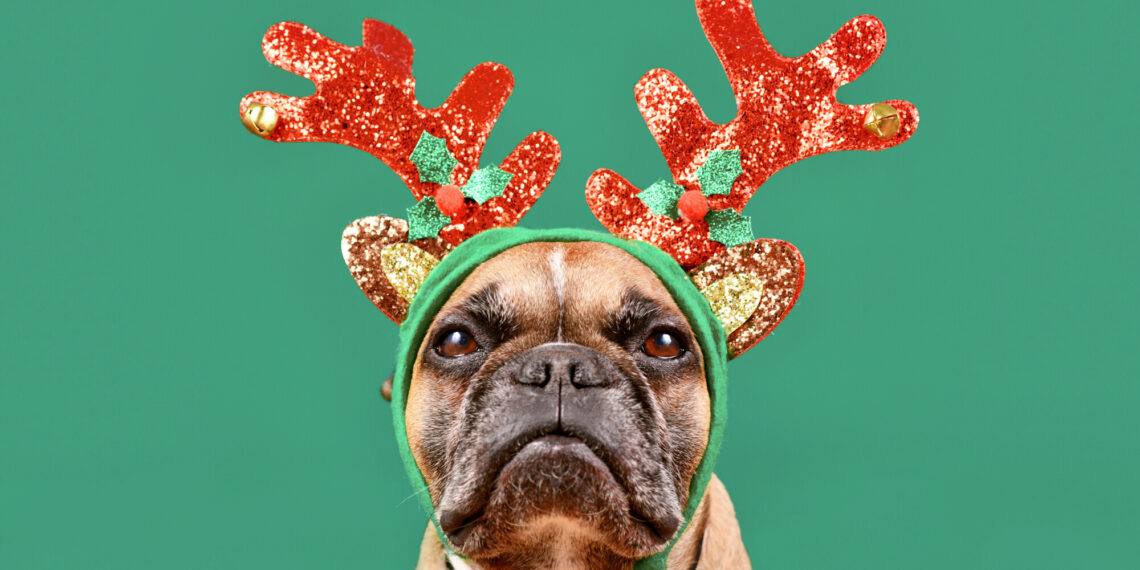 Workplace holiday party quiz -- Version 2022!: Employment & Labor Insider