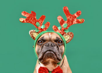 Workplace holiday party quiz -- Version 2022!: Employment & Labor Insider