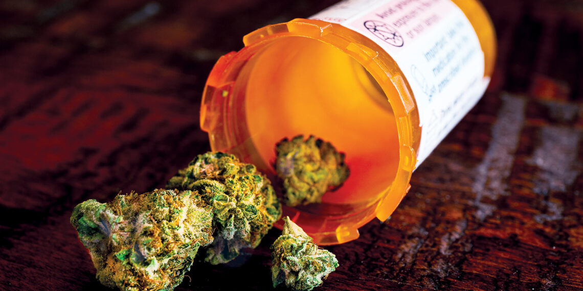 TSA agents find stowaway feline at JFK Airport