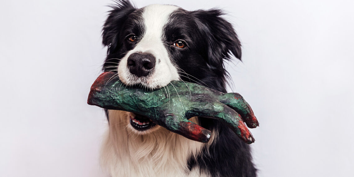 Dog unwittingly leads Mississippi police to a grisly discovery