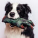 Dog unwittingly leads Mississippi police to a grisly discovery