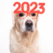 New York City Police Foundation releases annual Canine and Friends calendar