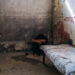 A person sits in the corner of a small, dirty cell with nothing but a mattress and a small bowl. They are sitting in a ball with their arms around their legs and their head down.
