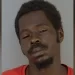 Florida man allegedly beat roommate’s raccoon with hammer – Law Officer