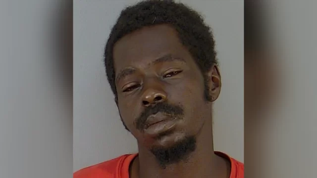 Florida man allegedly beat roommate’s raccoon with hammer – Law Officer