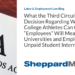 What the Third Circuit’s Looming Decision Regarding Whether College Athletes Can Constitute “Employees” Will Mean for Universities and Employers of Unpaid Student Interns