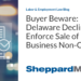 Buyer Beware: Delaware Declines to Enforce Sale of Business Non-Compete