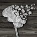Dementia or brain damage and injury as a mental health and neurology medical symbol with a thinking human organ made of crumpled paper torn in pieces as a creative concept for alzheimer disease.