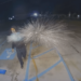 Watch arson suspects set themselves on fire while trying to torch building – Law Officer