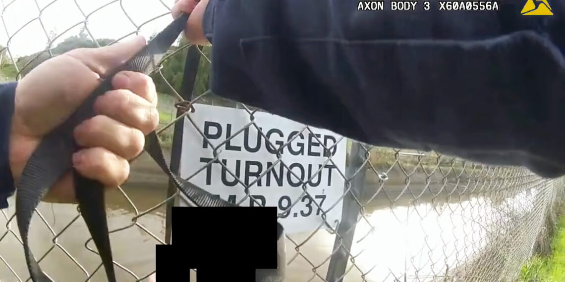 California police officer uses K-9’s leash to rescue drowning man
