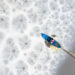 Maryland police officer uses screwdrivers as oars to pull herself across frozen river to rescue downed pilot