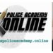 New Writers' Police Academy Online Class - “Bring Your Narrative Problems to Lisa Unger”