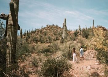 The Rights of Snowbirds Visiting Arizona