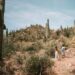 The Rights of Snowbirds Visiting Arizona