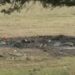 Scene of the crash where three former Texas high school athletes died after a police chase. 