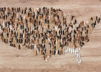 Florida's Diversity Issues