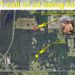 Marine veteran lauded ‘Man of the Year’ after finding toddler who had been missing more than 24 hours – Law Officer