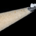 fentanyl