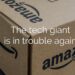 Amazon sued for selling suicide kits
