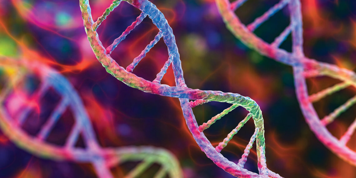 Closing cases with genetic genealogy