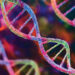 Closing cases with genetic genealogy