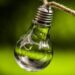 lightbulb-5259340_1920