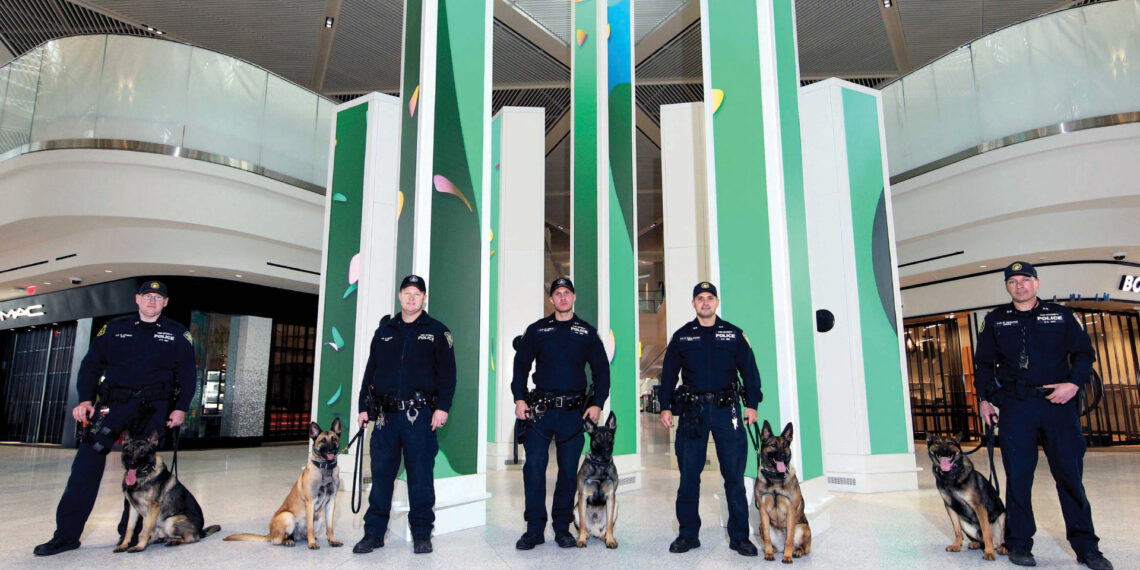 Paying tribute to 9/11 heroes