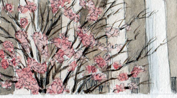 A tale of three districts