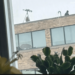 Gust of wind blows sniper’s rifle off rooftop during St. Patrick’s Day parade in Buffalo – Law Officer