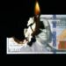 Close up shot of a 100 dollar banknote burning