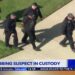 Zapata being taken into custody